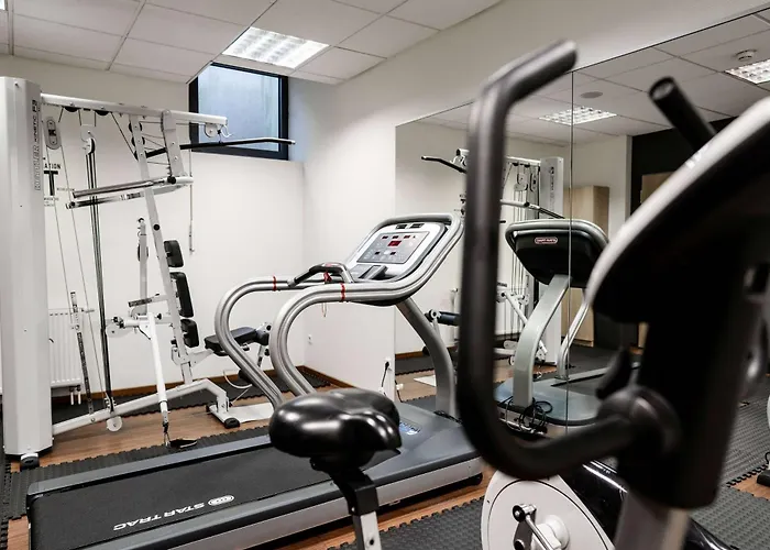 Lanzcarre Mannheim, A Member Of Radisson Individuals Otel 4*