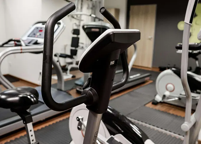 Lanzcarre Mannheim, A Member Of Radisson Individuals